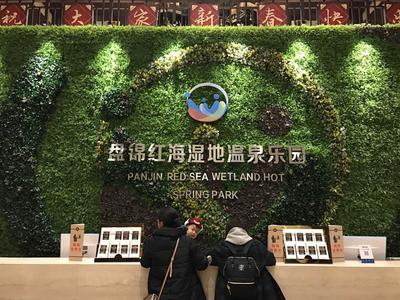 高清植物墙大图 (9)