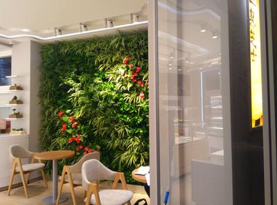 高清植物墙大图 (17)