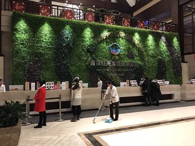 高清植物墙大图 (10)