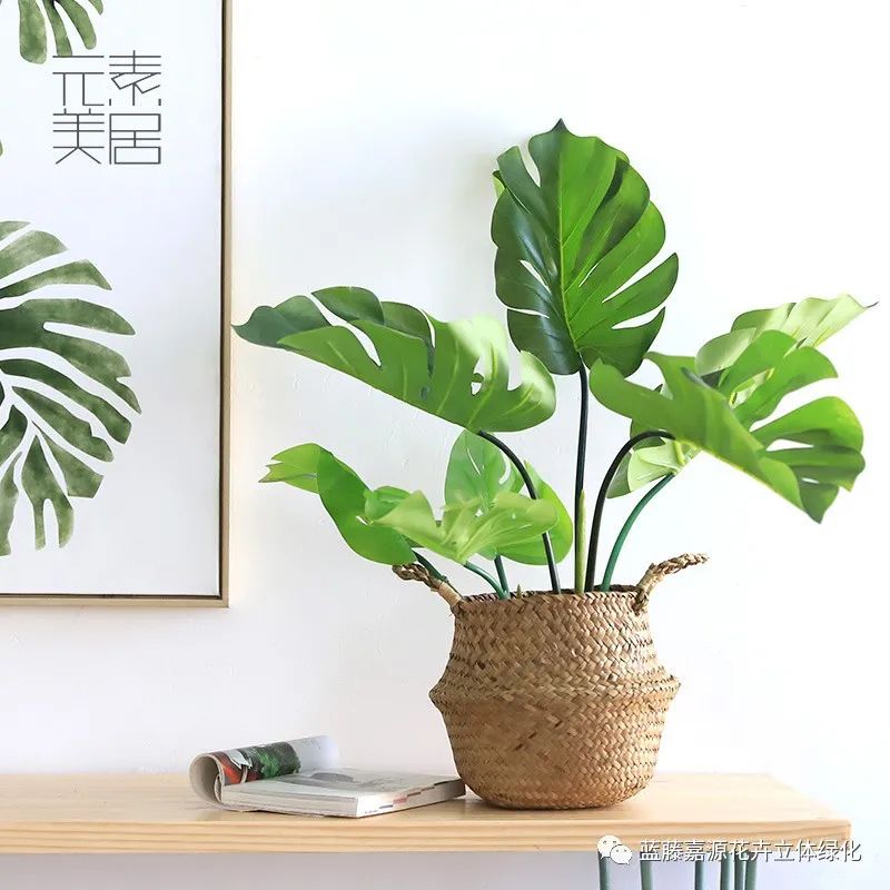 文章附图