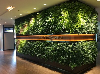 高清植物墙大图 (1)