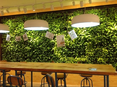 高清植物墙大图 (2)