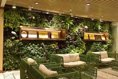 高清植物墙大图 (12)