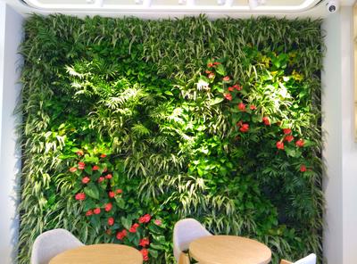 高清植物墙大图 (15)