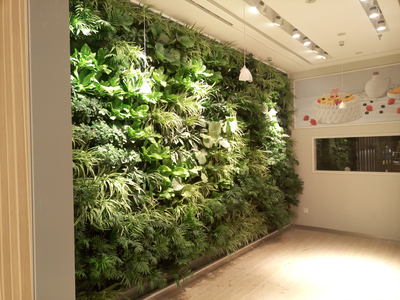 高清植物墙大图 (32)