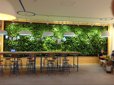 高清植物墙大图 (3)