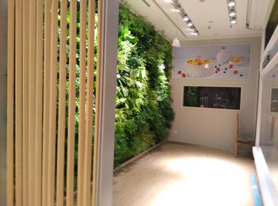 高清植物墙大图 (22)